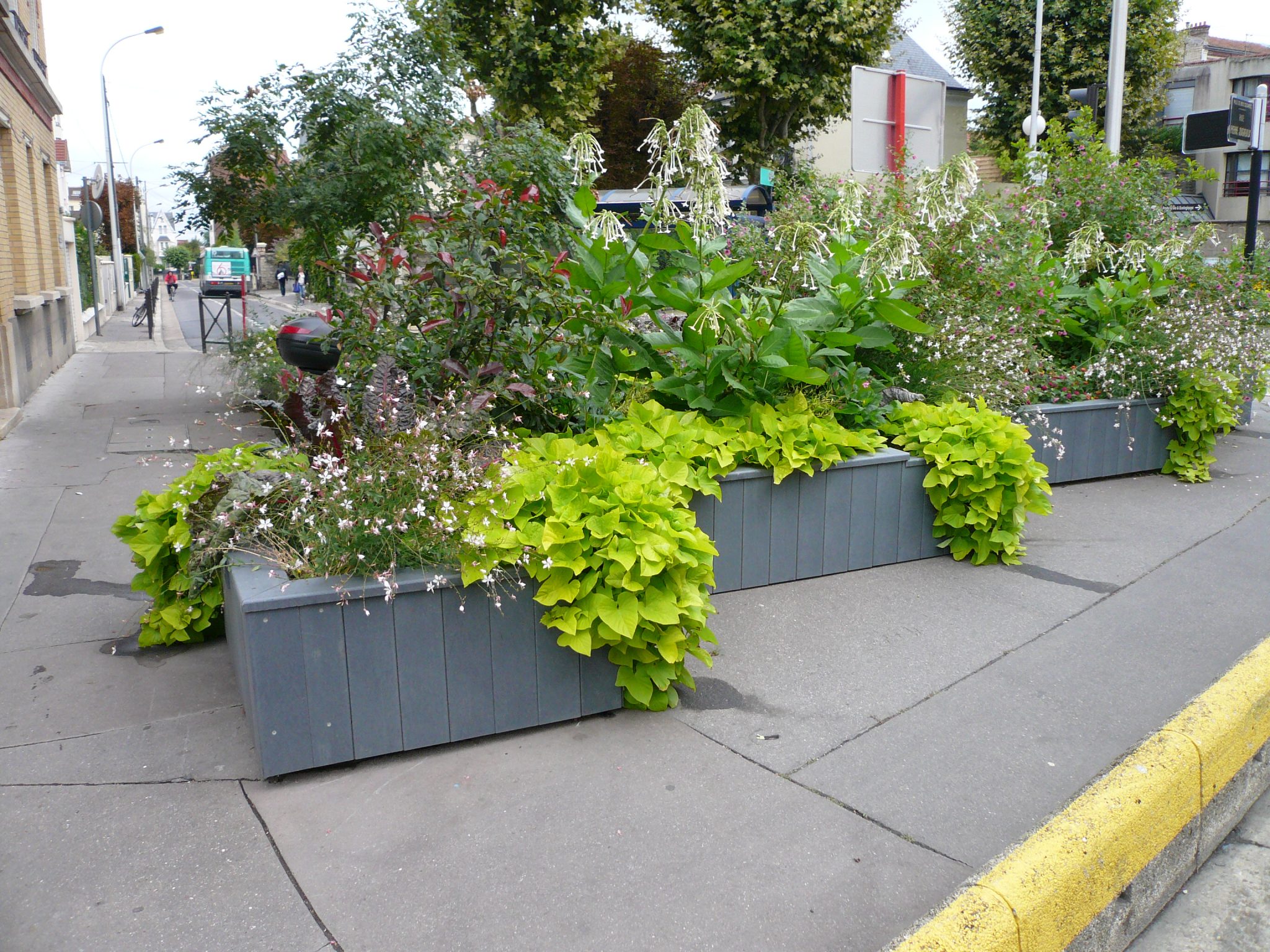Jardinières urbaines fleuries sur un trottoir.