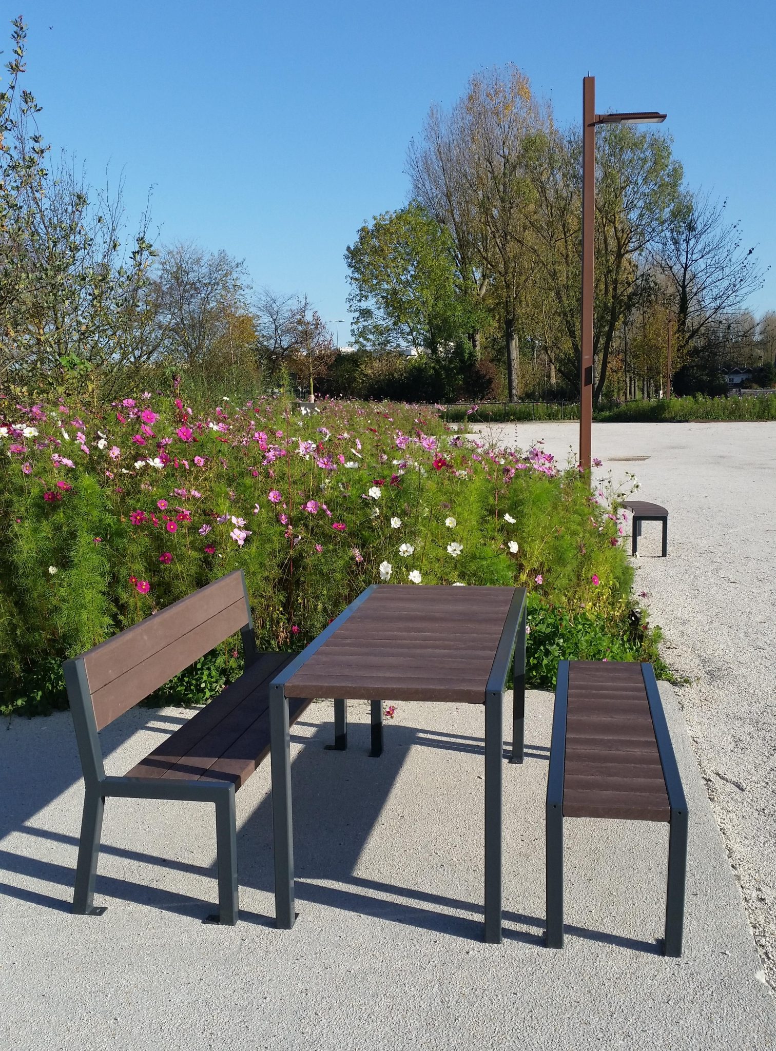 Mobilier urbain et fleurs dans un parc.