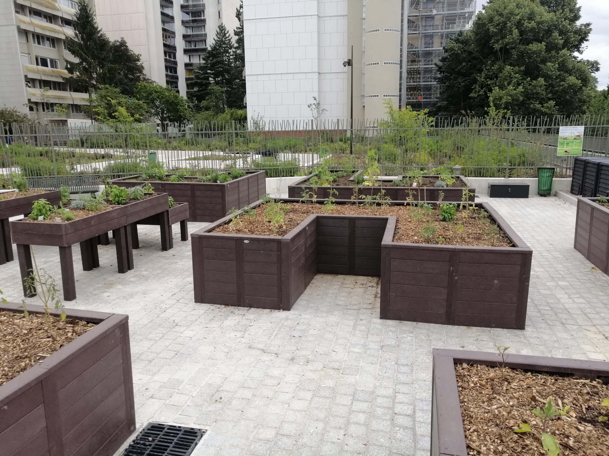 Jardin partagé urbain avec bacs surélevés.