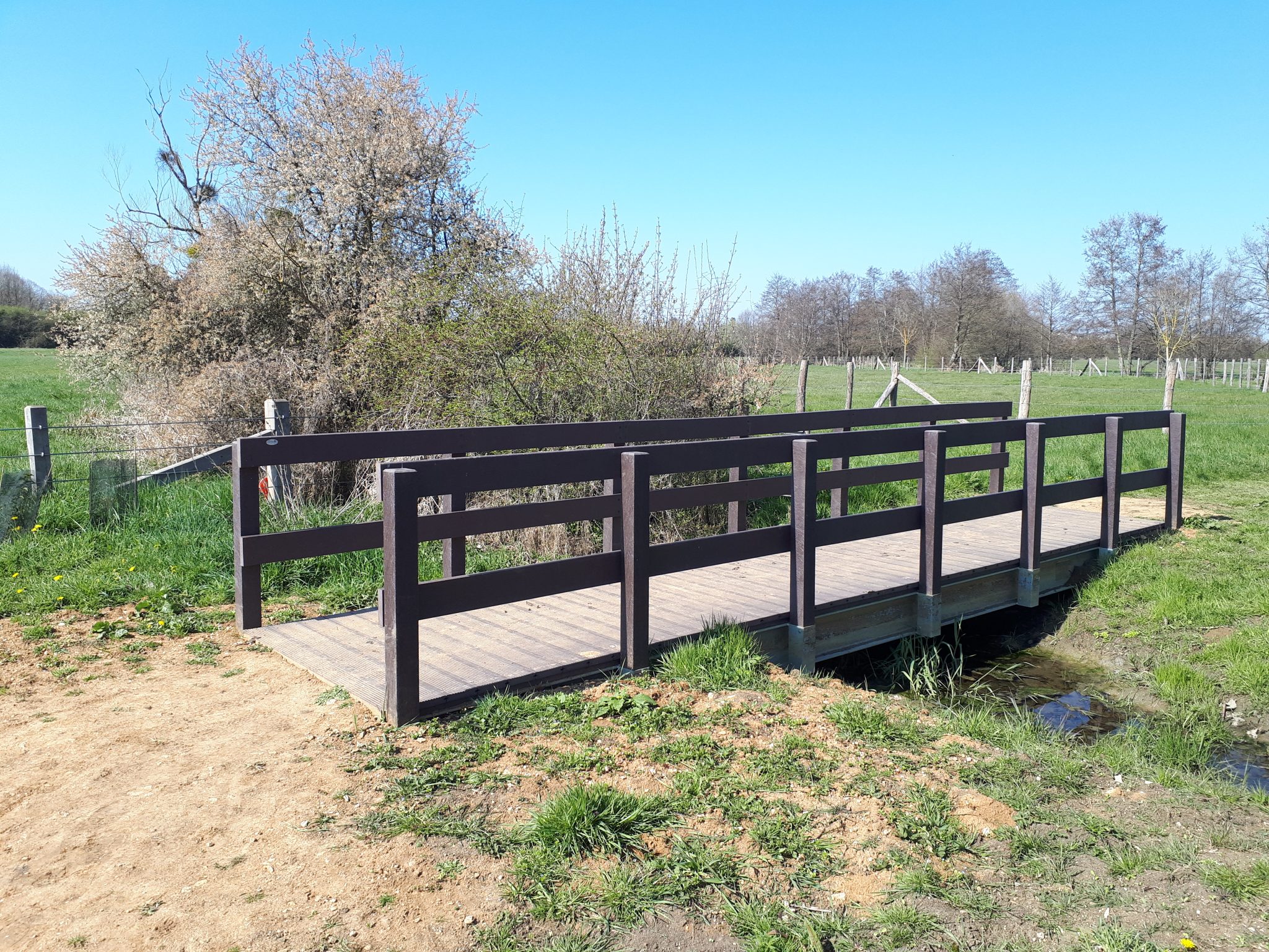 Pont en bois dans un parc champêtre.