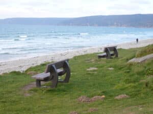 Fini le bois, place au plastique recyclé ? Ce que choisissent les villes en 2025 ♻️ 🏙️