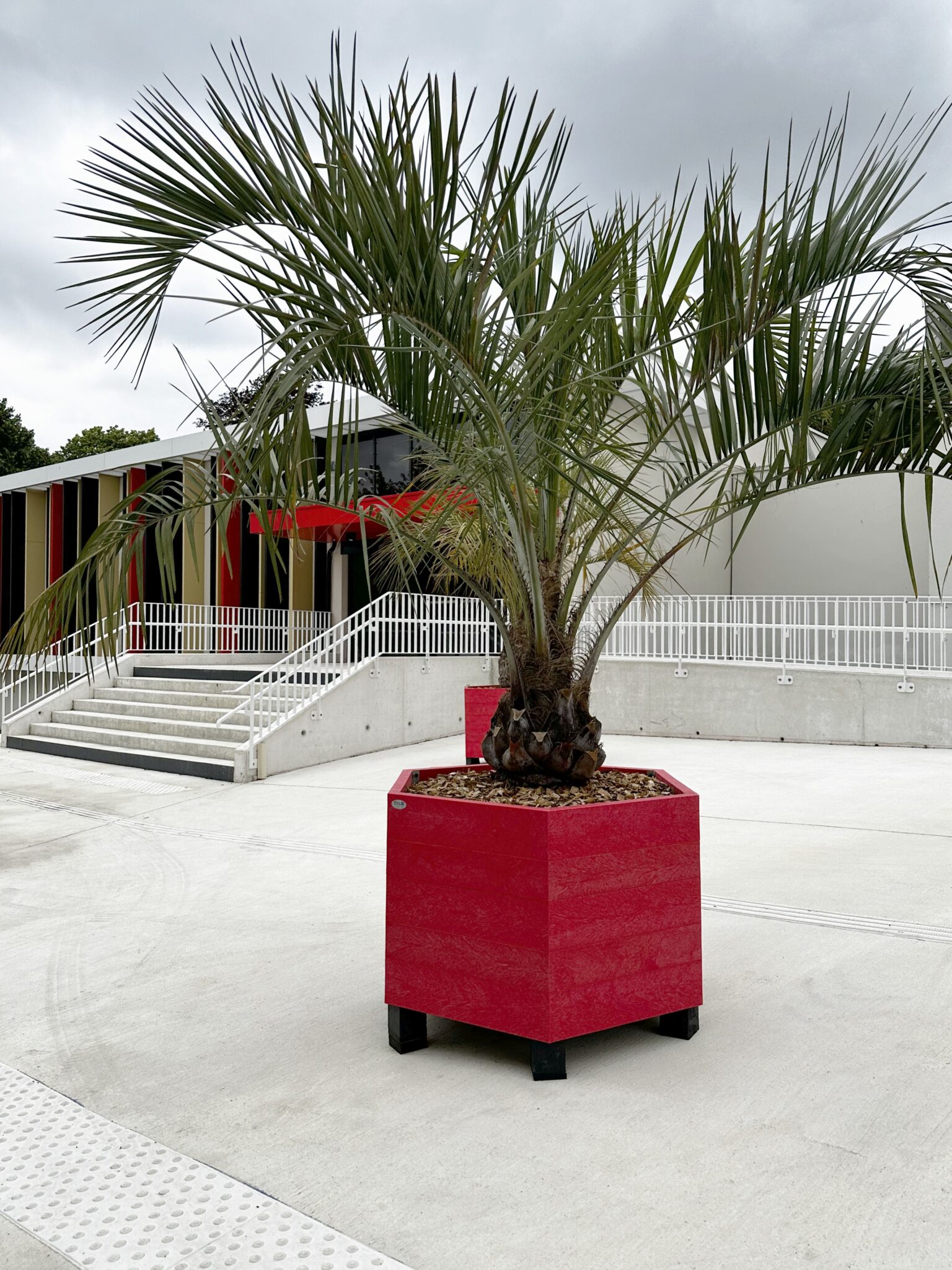 Fini le bois, place au plastique recyclé ? Ce que choisissent les villes en 2025 ♻️ 🏙️